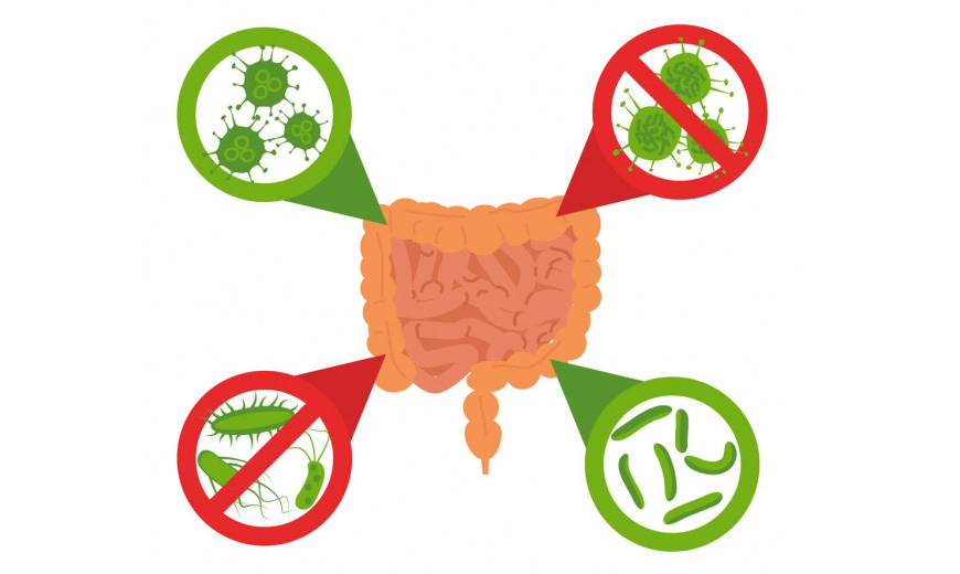 Sportbiotics